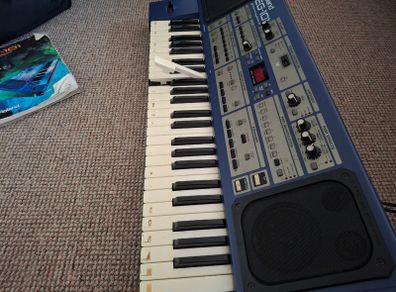 Roland EG-101 Keyboard Excellent Vintage Arranger Keyboard