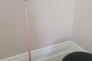 Horse Whip Pink