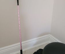 Horse Whip Pink