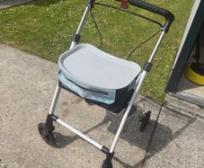 adult walker