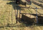 hay