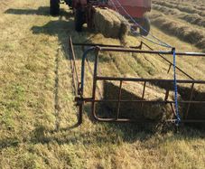 hay