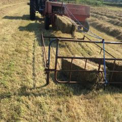hay