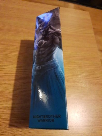 Star Wars Black Series: Nightbrother Warrior 6''