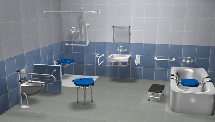 Toilet safety drop down grab rail