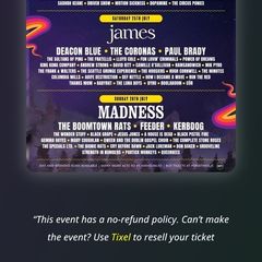 Forest Fest family sat ticket