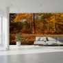Non-woven Wall Mural / Photo Wallpaper Image 4