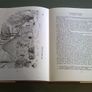 Tullow 's story Portrait of a County Dublin parish Ireland Irish local history Image 5
