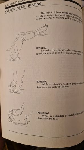 Hand And Food Reflexology. By Kevin And Barbra Kunz. The Unique Self-health Approach To Wellness. Large Volume Paperback In Good Condition.