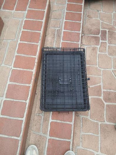 dog crate