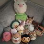 Squishmallows Image 2