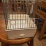 cage Image 3