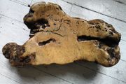 American Redwood Burl