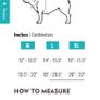 Frenchiebulldog harness Image 6