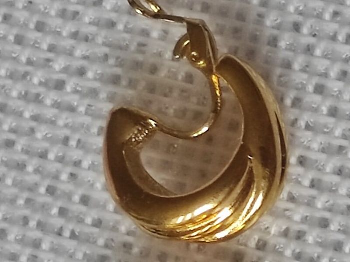 Patented earrings