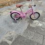 Reid kid's bike Image 4