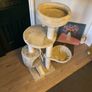 Cat Tree Image 2
