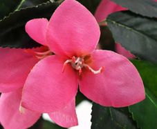 Artificial Rhododendron Plant with Pot 155 cm Green and Pink