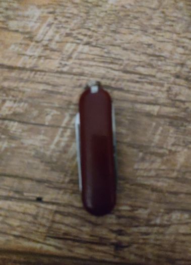 Swiss Army style knife - less than 6 cm long