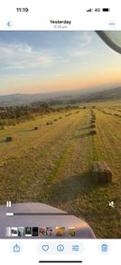 Hay
