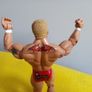 Mr Kennedy WWE Wrestlers Wrestler action Figure Image 3
