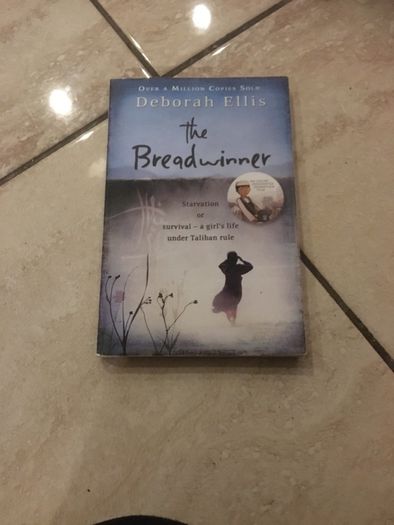 school novel