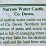 vintage print of Narrow Water Castle Image 3