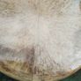 Round Table (26171) Image 4