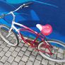 Beautiful Schwinn Cruiser Bike Image 3
