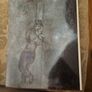 Love. A Celebration In Art And Litrature.  Edited By Jane Lahr And Lena Tabori. Beautiful Illustrated First Edition Large Volume Hardback With Dustjacket In Good Condition. See Photos For Same. Image 5