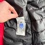canada goose Image 6