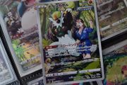 Passimian ! Character Rare ! from VMAX Climax Set ! 2021 ! Japanese Pokemon Card !