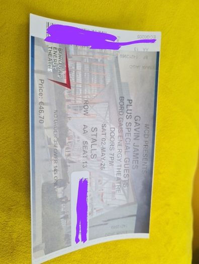 2 Gavin James Plus Special Guests Bord Gas Energy Theatre. 30 each