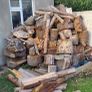 Firewood logs - Need Splitting Image 5