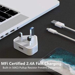Brand new iphone charger for iPhone, ipad and ipod. Wall charger and USB cable