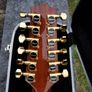 Takamine TAN16C-12 Image 4