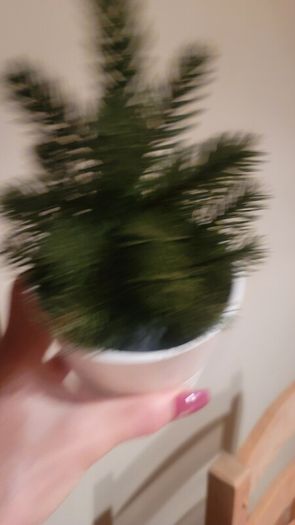 Artificial Plants in Matching Ceramic Plant Pots x3