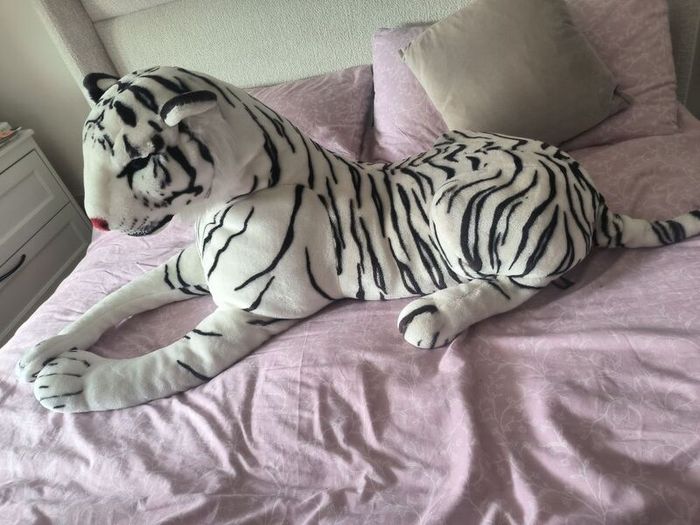 tiger teddy