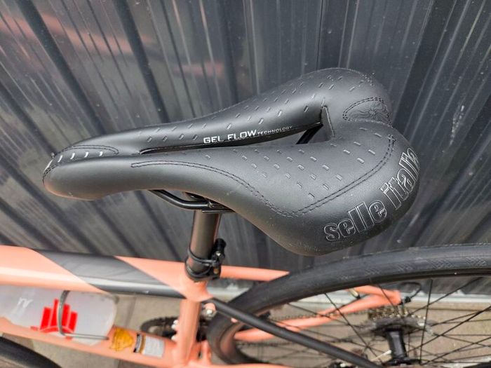 ladies bike