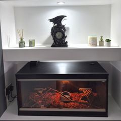 snake tank