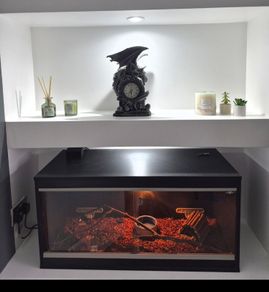 snake tank