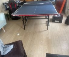 table tennis