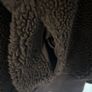 BNWT Brown  teddy fleece jacket from H&M move Image 7