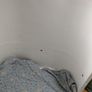 Gaia Serena Cot and toddler bed Image 4