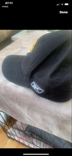 Jacksonville jaguars