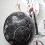Orthoceras,Fossils,Crystals, Image 2