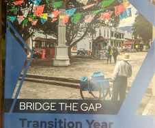 Bridge the Gap Transition year Spanish
