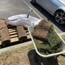 Free to take away lawn turf Image 2