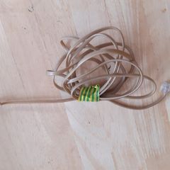 RJ11 Phone Cable 6 Foot
