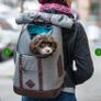 Dog carrier Image 3